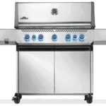 Napoleon Prestige 665 Rsib Natural Gas