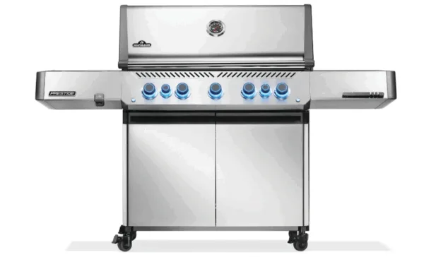 Napoleon Prestige 665 Rsib Natural Gas