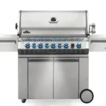 Napoleon Prestige Pro 665 Rsib Natural Gas